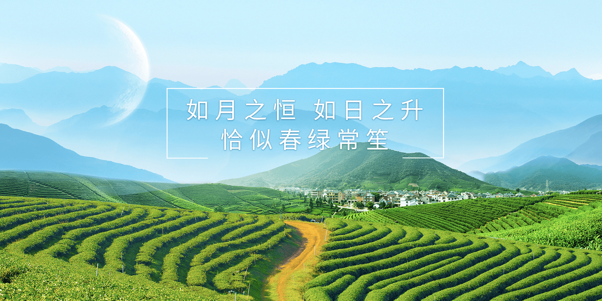 ̼������