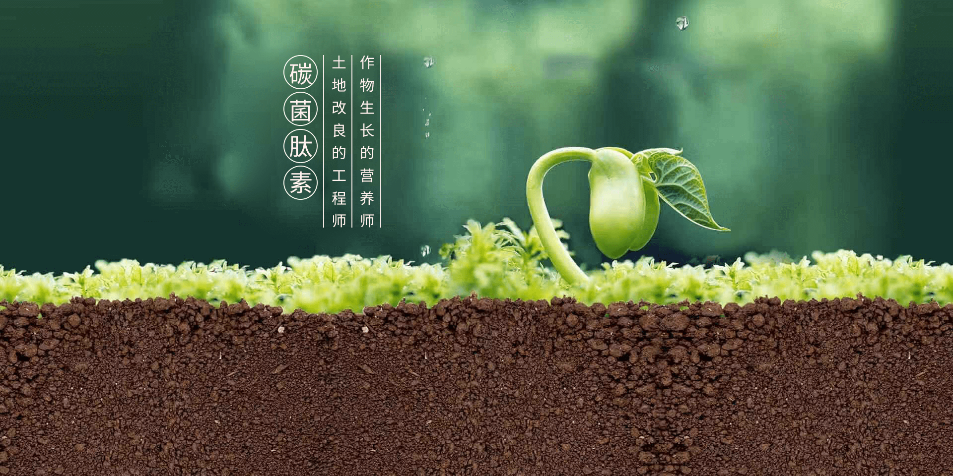 �����ЙC��