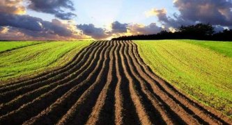 �����ЙC�ʵİlչ�F�չ��